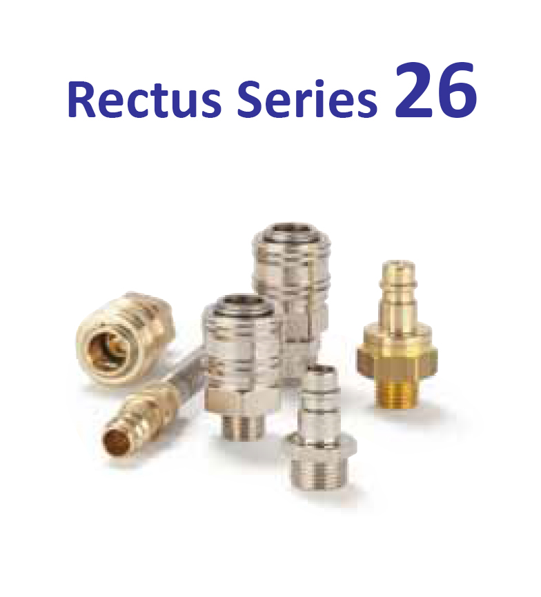 Rectus-series-26