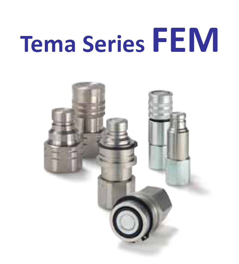 Tema-series-FEM