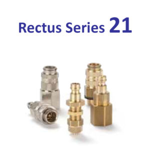 Rectus-series-21